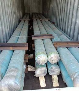 Downhole Motor